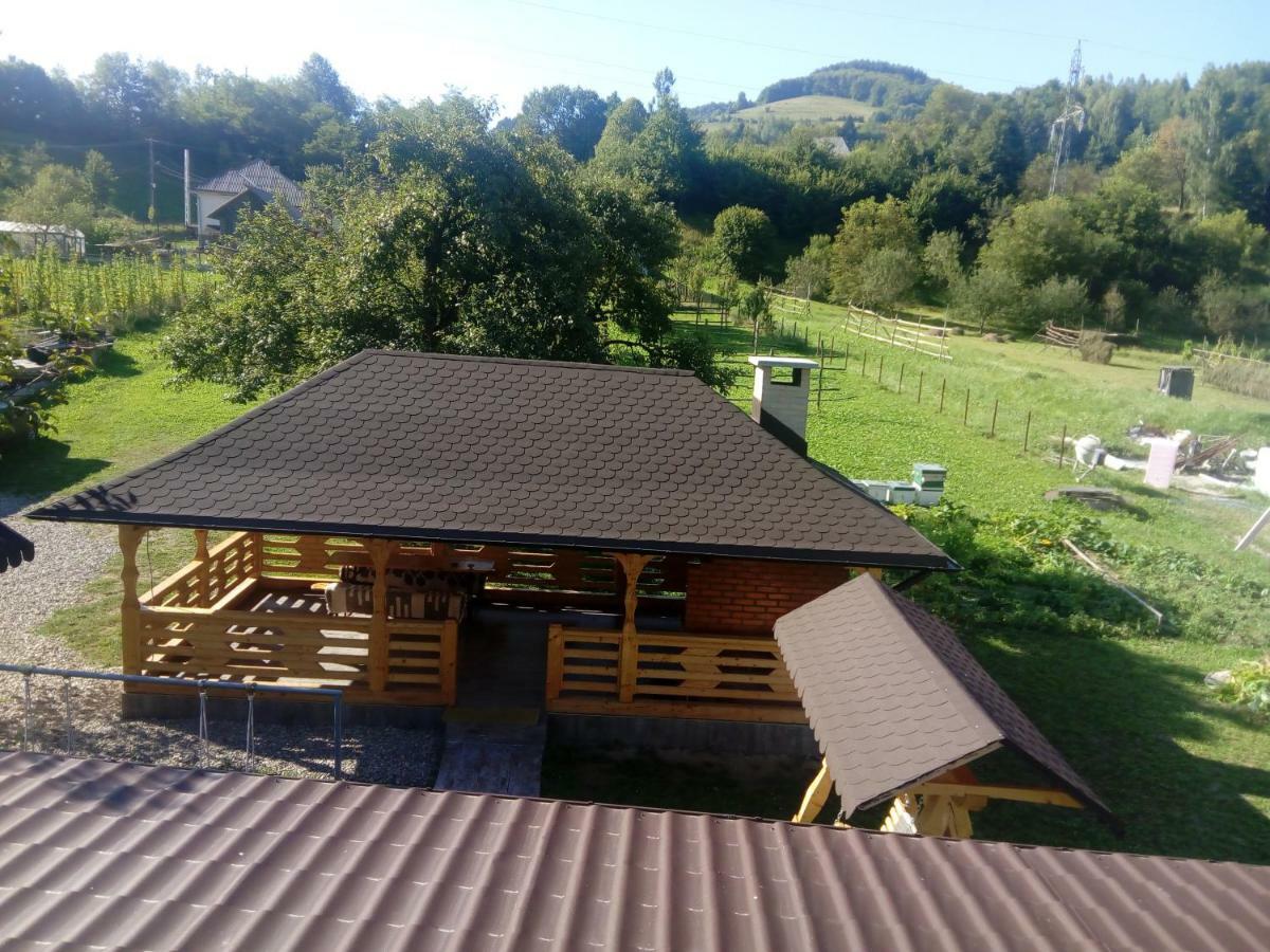 Casa Luca Viseu de Jos Exterior foto